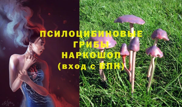 2c-b Алагир