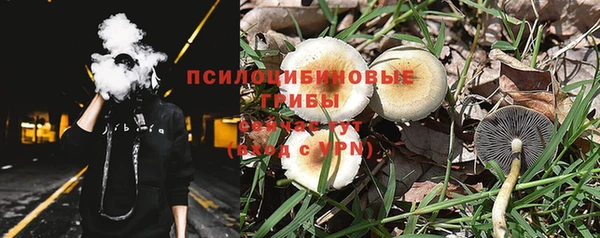спиды Медногорск