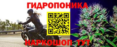 соль курить ск Краснознаменск