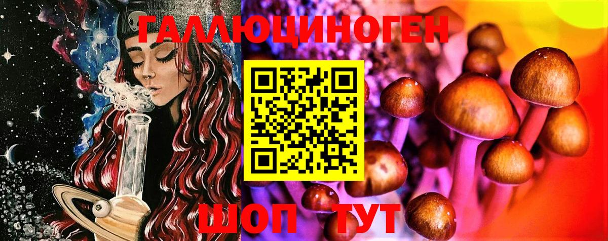 Галлюциногенные грибы прущие грибы  Вход с VPN  Тихвин 