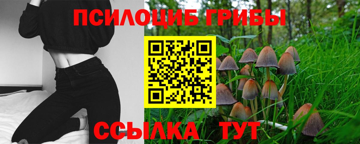 Альфа ПВП Тихвин