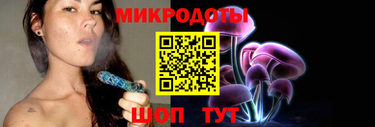 Псилоцибиновые грибы Psilocybine cubensis Тихвин